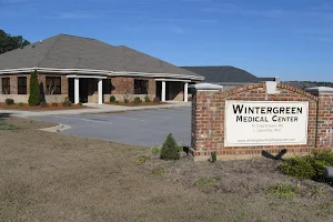 Wintergreen Medical Center image