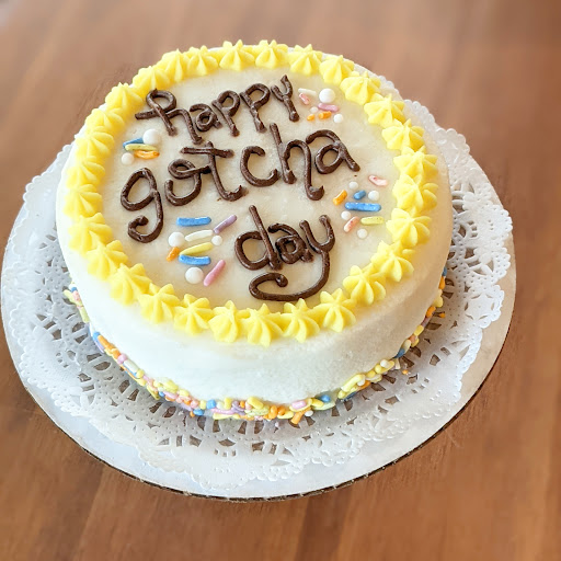 Pet Store «District Dog - A General Store for Pets», reviews and photos, 142 Driggs Ave, Brooklyn, NY 11222, USA