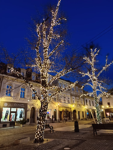Rynek 22, 43-300 Bielsko-Biała