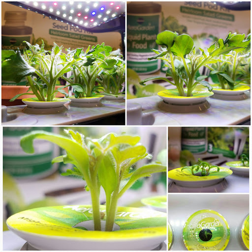 Hardware Store «Hoffmans Ace Hardware», reviews and photos, 2420 Wedgewood Dr Ste 23, Akron, OH 44312, USA