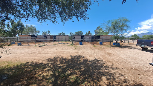 Tanque Verde Stables