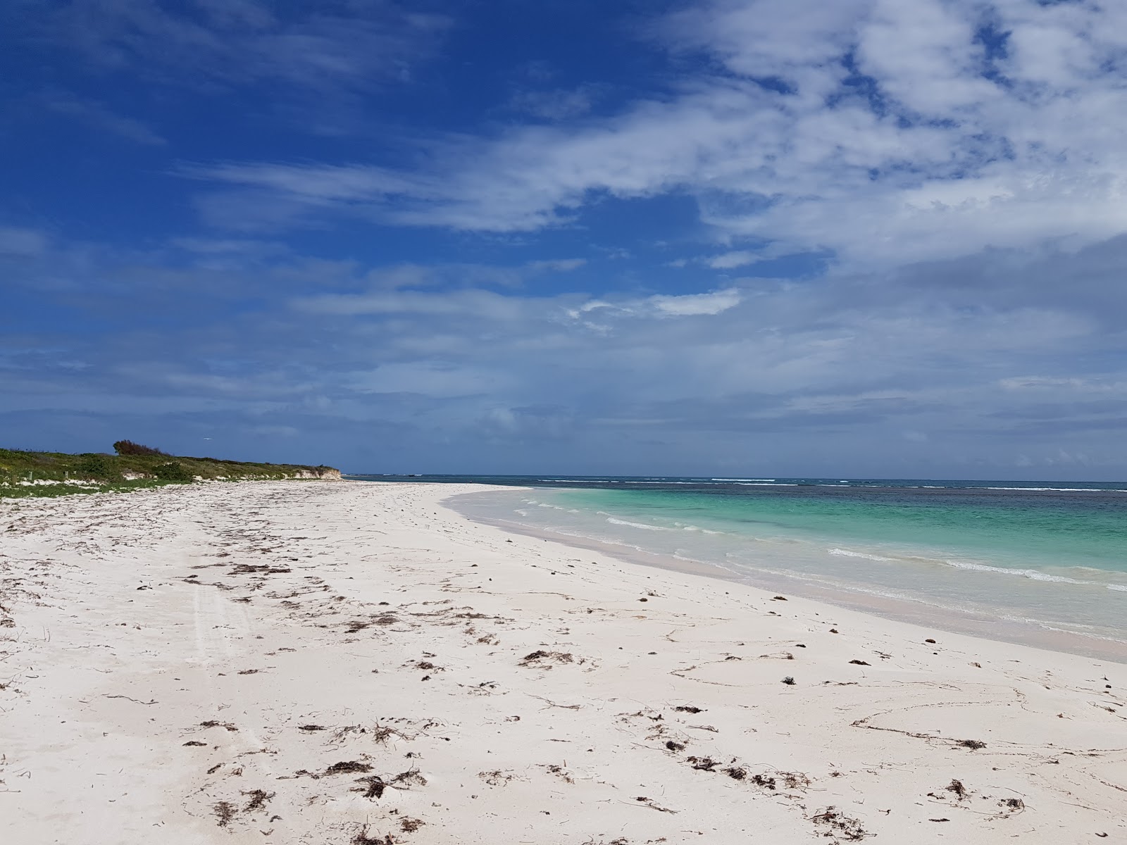 Hangover Bay Beach'in fotoğrafı vahşi alan