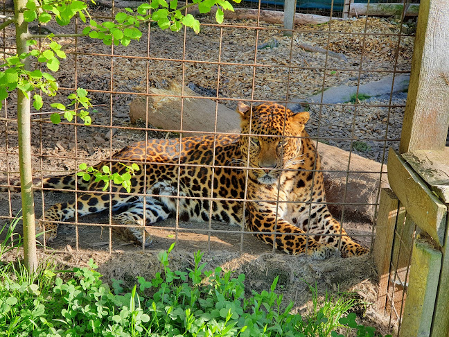 Recenze na Kontaktní Zoopark v Olomouc - Organizace