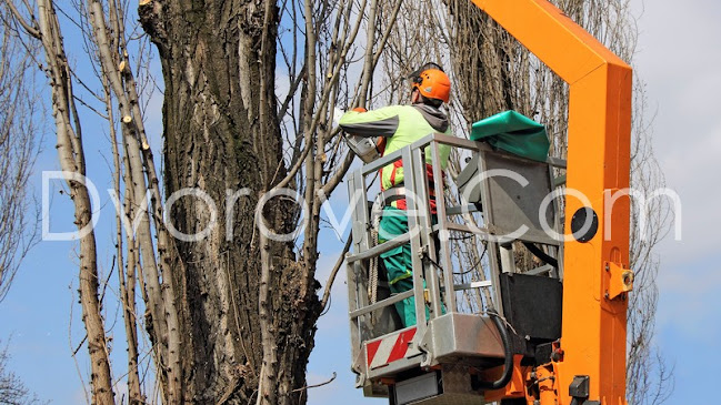 Dvorove - Други