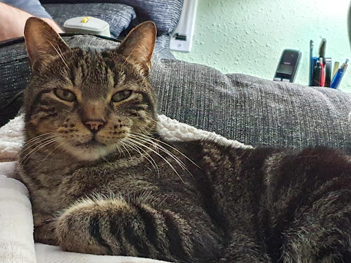 Clínica Veterinaria Zoo Salut en Barcelona