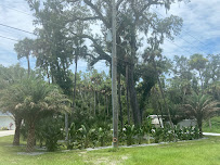 Citrus Landscape Solutions - Photo 8 - Car repair in Sanford, FL, Deltona