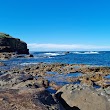 Wollongong Head Lighthouse Rockpool