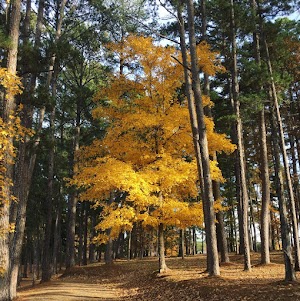 Synergy Park - photo 88