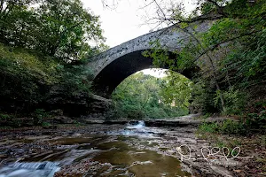 Fall Creek Stone Arch Bridge image