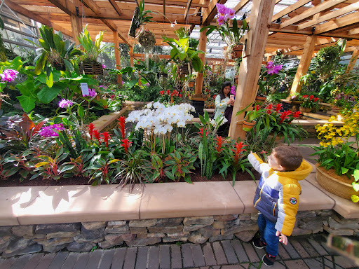 Botanical Garden «Botanical Gardens At Asheville», reviews and photos, 151 W .T. Weaver Blvd, Asheville, NC 28804, USA