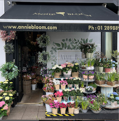 Annie Bloom Florist