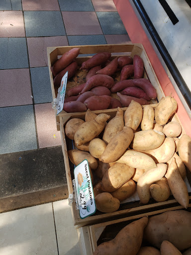 Grocery Store «Back To Earth Natural Foods», reviews and photos, 306 S Main St, New City, NY 10956, USA