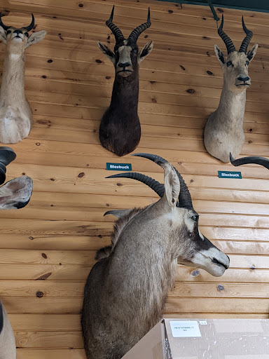 Sporting Goods Store «Midwestern Shooters Supply», reviews and photos, 191 Church St, Lomira, WI 53048, USA