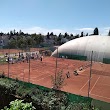 Tennisschule Mocker