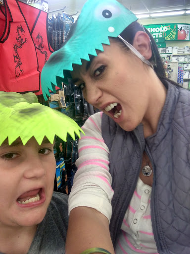 Dollar Store «Dollar Tree», reviews and photos, 278 E Geneva Rd, Wheaton, IL 60187, USA