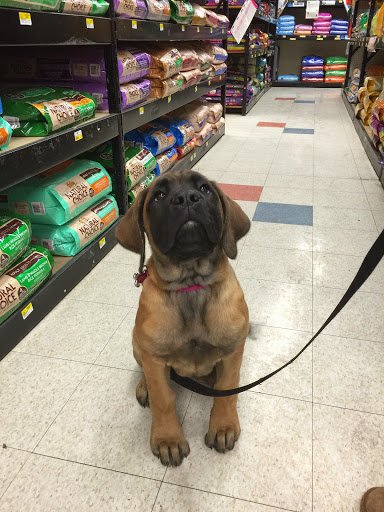 Pet Supply Store «Stoltzfus Feed & Supply», reviews and photos, 80 PA-41, Gap, PA 17527, USA