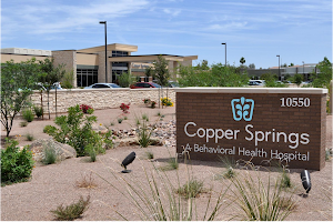 Copper Springs image