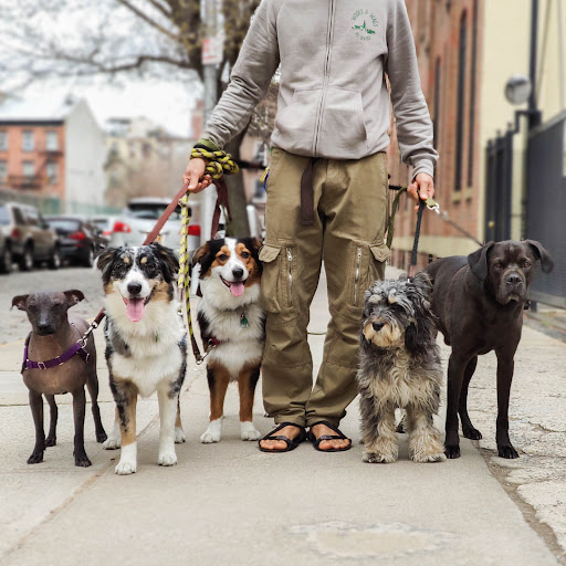 Photo of Woofs & Wags