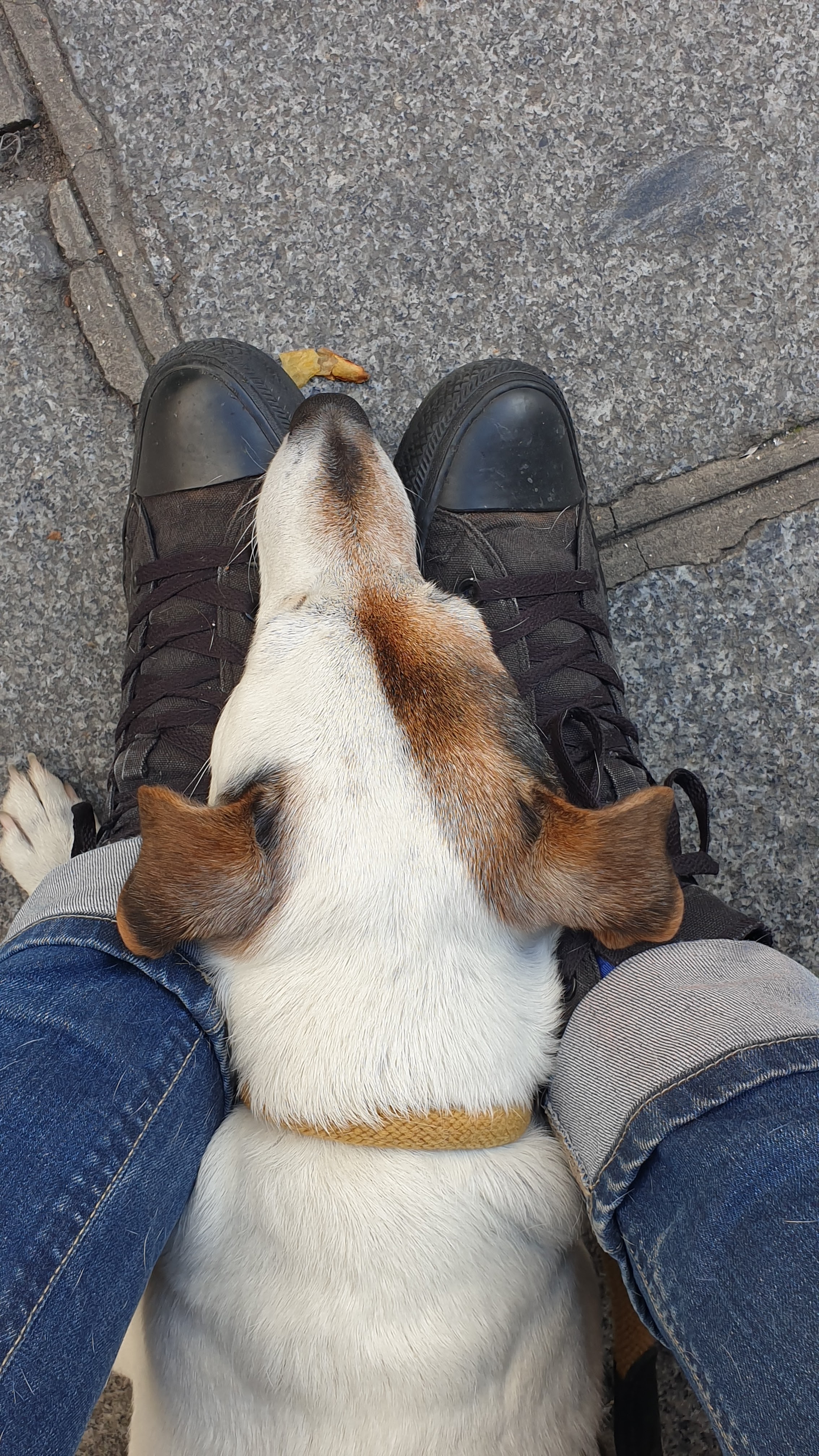 Photo n° 4 de l'avis de arthur.a fait le 21/09/2022 à 14:43