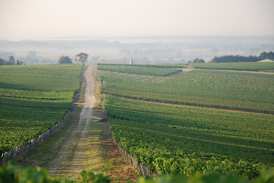 Saget La Perrière à Pouilly-sur-Loire