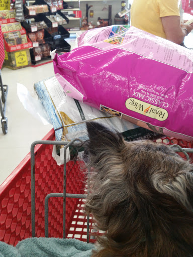 Home Improvement Store «Tractor Supply Co.», reviews and photos, 100 W Ardice Ave #1, Eustis, FL 32726, USA