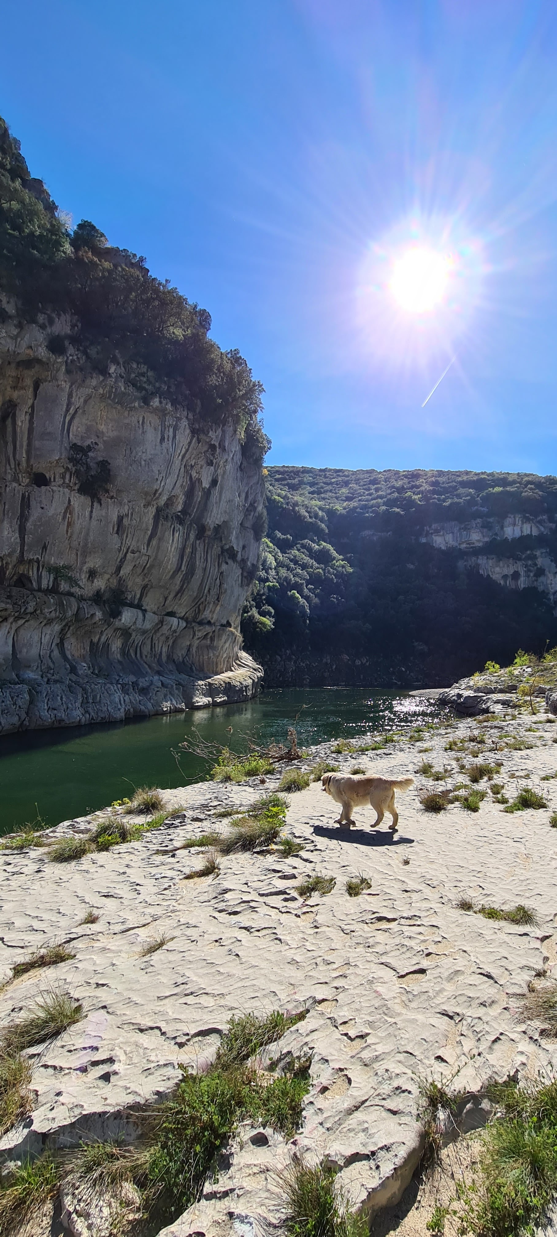 Photo n° 6 de l'avis de Laurenzo.7 fait le 17/04/2022 à 14:33