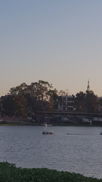 سوق السمك بالمطرية
