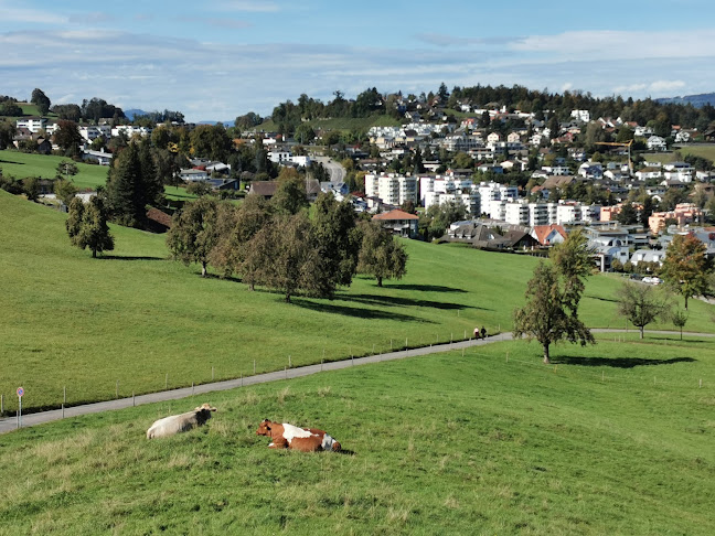 FC Richterswil - Verband