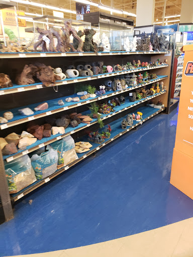 Petco