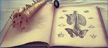 Consultório De Osteopatia E Fisioterapia - Dr. Roberto Campos