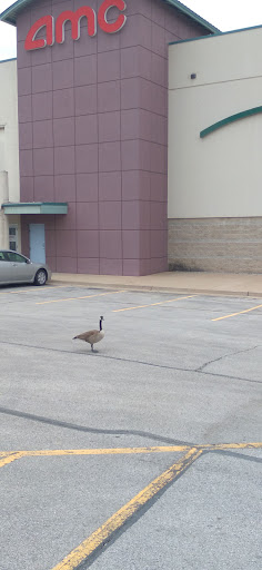 Shopping Mall «Southroads Shopping Center», reviews and photos, 5211 E 41st St, Tulsa, OK 74135, USA