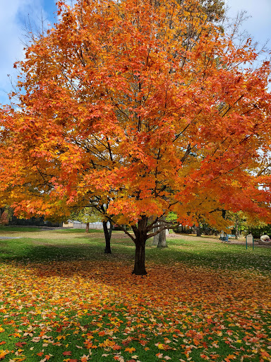 Memorial Park «Frothingham Park», reviews and photos, 15 Park St, North Easton, MA 02356, USA