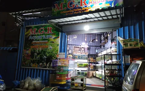 MGR Aquarium (Aquarium Live Plants in Guindy/Aquarium Fish in Guindy/Birds & Accessories in Guindy) image