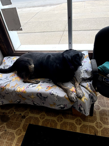 Auto Repair Shop «Ultimate Auto Service», reviews and photos, 2151 Niagara St, Buffalo, NY 14207, USA