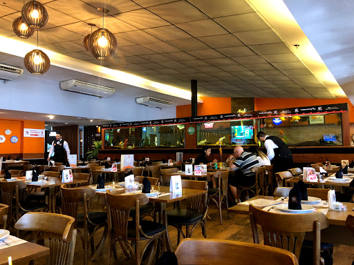 Restaurantes comem camarões Rio De Janeiro