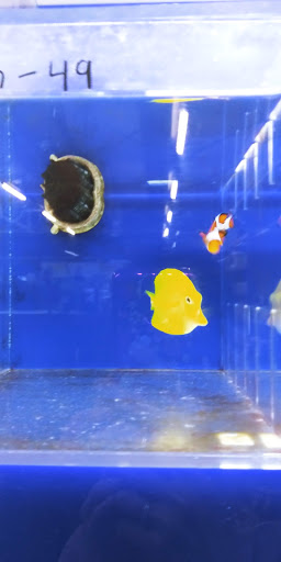 Pet Store «The Pet Zone», reviews and photos, 20 W Oak St, Pittston, PA 18640, USA