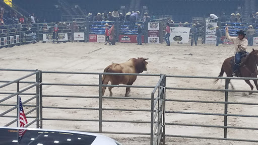 Arena «Germain Arena», reviews and photos, 11000 Everblades Parkway, Estero, FL 33928, USA