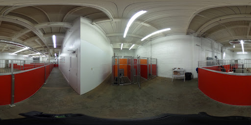 Pet Boarding Service «The Dog Stop Plus», reviews and photos, 2640 Carnegie Ave, Cleveland, OH 44115, USA