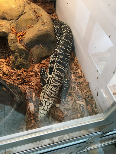 Pet Store «Pets & Such», reviews and photos, 3680 3500 S, West Valley City, UT 84120, USA