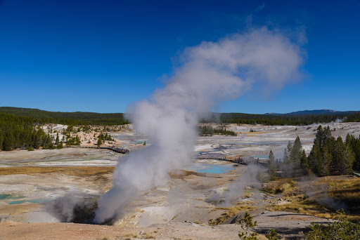 National Park «Yellowstone National Park», reviews and photos