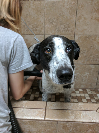 Pet Supply Store «Rucker Pet & Wild Bird», reviews and photos, 4335 Bethelview Rd, Cumming, GA 30040, USA