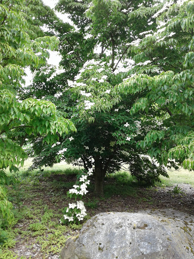 Park «Daejeon Park», reviews and photos, 1144 Sturgus Ave S, Seattle, WA 98144, USA