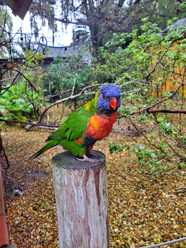 Thrift Store «Goodwill Thrift Store - Southside», reviews and photos, 8101 Southside Blvd #5, Jacksonville, FL 32256, USA