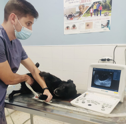 Centro Veterinario Ardila-alcalá del Río en Alcalá del Río