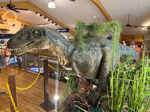 Museum «Creation Evidence Museum», reviews and photos, 3102 FM 205, Glen Rose, TX 76043, USA