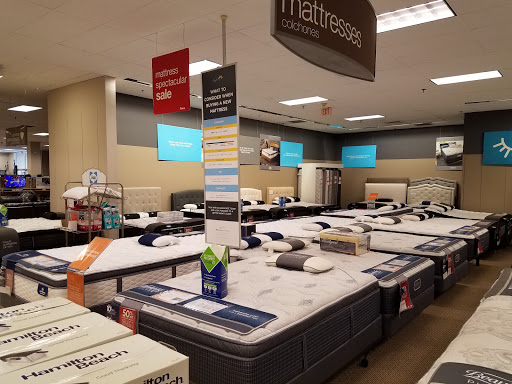 Department Store «Sears», reviews and photos, 7503 W Cermak Rd, North Riverside, IL 60546, USA