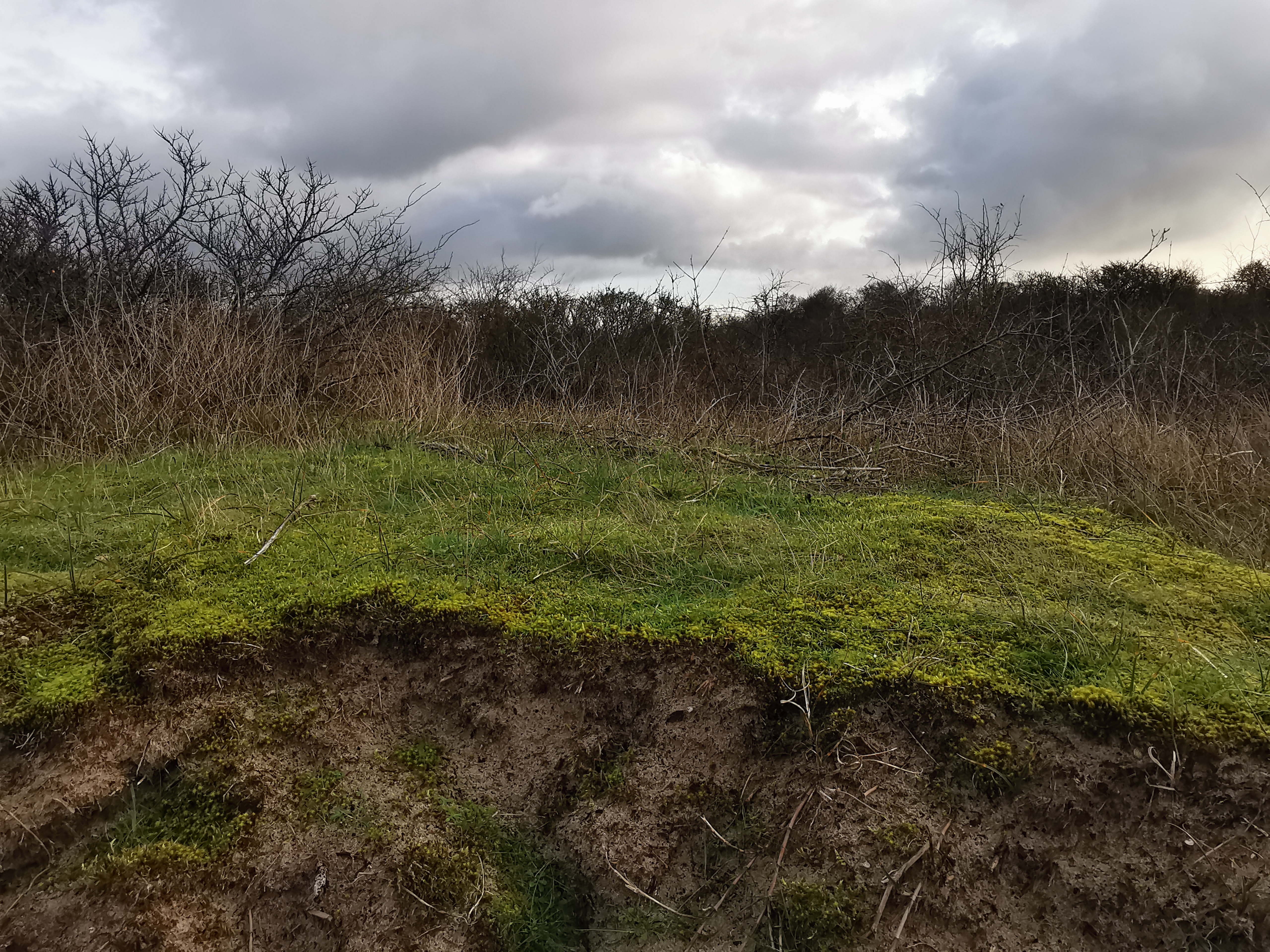 Photo n° 3 de l'avis de Greg.a fait le 30/12/2020 à 18:07