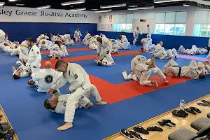 Crosley Gracie Jiu-Jitsu image