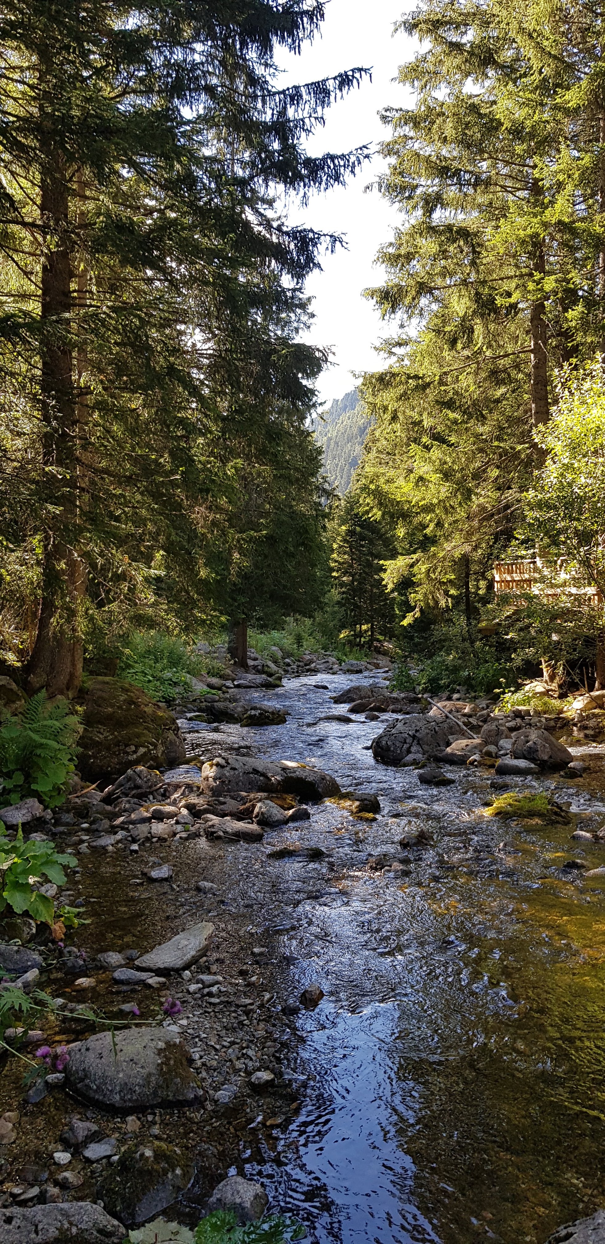 Photo n° 12 de l'avis de Valérie.n fait le 10/08/2020 à 17:42