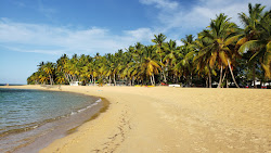 Photo de Playa Las Terrenas avec rivage droit, long